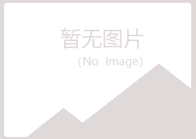 山西盼夏能源有限公司